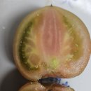 경민농장 이미지