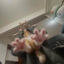 뽑GO | Welcome march