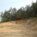 여주-0272 이미지