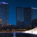 비고리조트 17 이미지