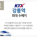 강릉 더퍼스트 이미지