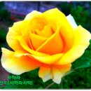 자이골프 시스템