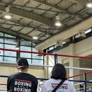 팀타이거복싱짐 이미지