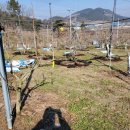 감은골 농장 이미지