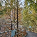 장태산휴양림 이미지