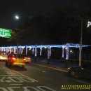 대자연농원 이미지