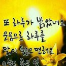 미쿡 - 세종특별자치시 | 미쿡
