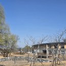 한의대로R 이미지