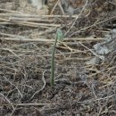 기환농장 이미지