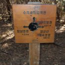 참손푸드(주) 이미지