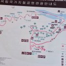 황하 이미지