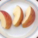 혁이농장 이미지