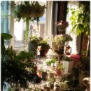 기쁨이네 이미지