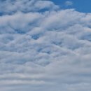 선운사꽃무릇 이미지