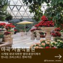 마곡중앙1로 | 마곡서울식물원 겨울전시 크리스마스 윈터가든 오늘난 관람후기 주차 입장료