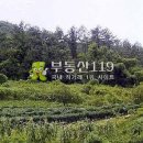 전북 부안군 변산면 격포리 / 임야 야산, 산소용지 귀산촌부지 펜션부지 펜션지 힐링센터부지 귀농지 / 5 이미지