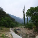 경임농장 Daum카페