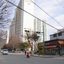 탄벌동-19 이미지