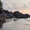 사목해변입구 이미지