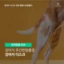 월드펫동물병원 이미지