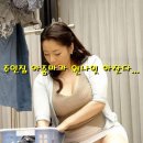 주인집 티스토리
