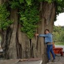 옥대3리 이미지