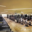 오로라스파&휘트니스 머니투데이