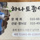 더덕모종 판매 이미지