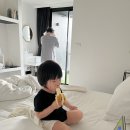 [푸껫-끄라비] 올드타운 블루 몽키 허브 앤 호텔, 근처 맛집 분랏딤섬, 템토푸켓 후기