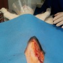 애경동물병원 이미지