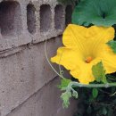 삼주세탁소 이미지