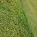 개미골프 연습장 이미지