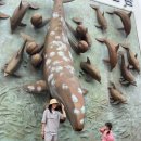 라벤더향기 | 울산 장생포 고래문화마을, 보랏빛 라벤더 향기 가득한 가족 나들이 후기! 💜