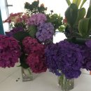 희재농장 이미지