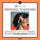 하라고헤어 네이버블로그