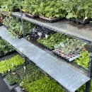 일동농약사 이미지