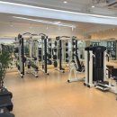 핏디렉터 프라이빗 PT스튜디오 이미지