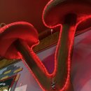 훌랄라독산1동점 | 금천 독산 / 훌랄라참숯바베큐치킨 독산1동점 금요일 저녁 방문후기 (독산 맛집 메뉴 서비스 가격)