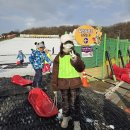 e편한 태권스쿨 | 국태 국가대표태권스쿨 / 서울랜드 눈썰매 / 운남동 태권도 | 인천영종도태권도 / 중구태권도 / 운남동...