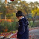 동학농민혁명기념공원 | 보은군 동학농민혁명기념공원 단풍이 이뻤어요