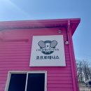 조프로테니스아카데미