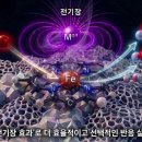 D00995 노벨사이언스
