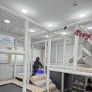 엘핀키즈풀빌라 이미지