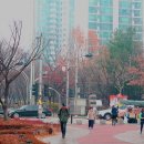 마두역6번출구 이미지