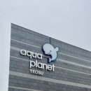 여수박람회장 스카이타워 입구 도로 | 현지인도 가족끼리! 여수 아쿠아플라넷