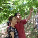 민제농장 이미지