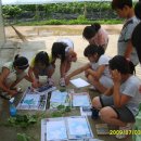 부용초등학교 이미지