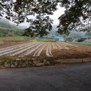 보전경로당 이미지