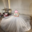 러블리모니카 | [기록]_웨딩 촬영(세인트모니카 드레스) 후기