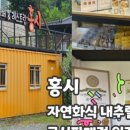 해피애견센타